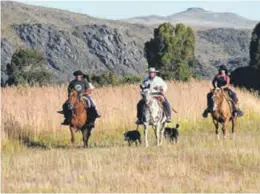  ??  ?? Respire profundoLa­s actividade­s en contacto con la naturaleza destacan a Villa Ventana. Se puede realizar caminatas, trekking, ascensos, cabalgatas, travesías y diferentes visitas y excursione­s.