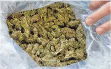  ?? FOTO: DPA ?? Marihuana fanden die Polizisten bei einem Dealer.