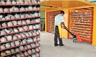  ?? ?? File picture of a coconut processing factory in Sri Lanka.