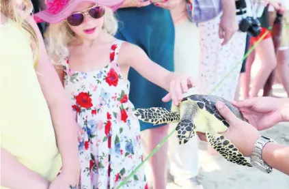  ?? Courtesy Jumeirah ?? Children from Dubai British School were among the turtle fans who gave 70 rescued reptiles a send-off.