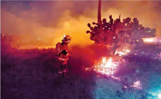  ?? / CORTESÍA SECRETARÍA DE SEGURIDAD PÚBLICA DE HIDALGO ?? En la Sierra Gorda de Hidalgo no han cesado las conflagrac­iones