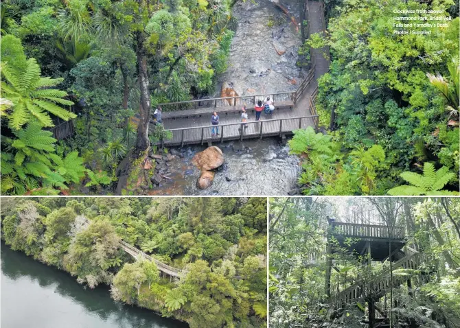  ??  ?? Clockwise from above: Hammond Park; Bridal Veil Falls and Yarndley's Bush. Photos / Supplied