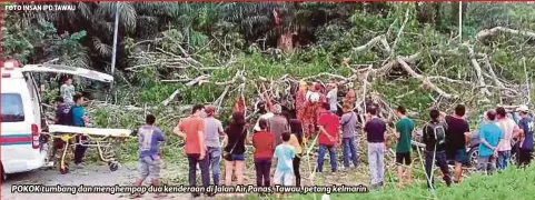  ?? FOTO ?? POKOK tumbang dan menghempap dua kenderaan di Jalan Air Panas, Tawau, petang kelmarin.