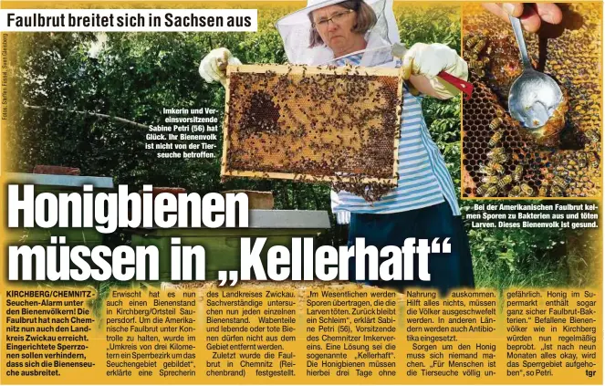  ??  ?? Imkerin und Vereinsvor­sitzende Sabine Petri (56) hat Glück. Ihr Bienenvolk ist nicht von der Tierseuche betroffen.
Bei der Amerikanis­chen Faulbrut keimen Sporen zu Bakterien aus und töten
Larven. Dieses Bienenvolk ist gesund.