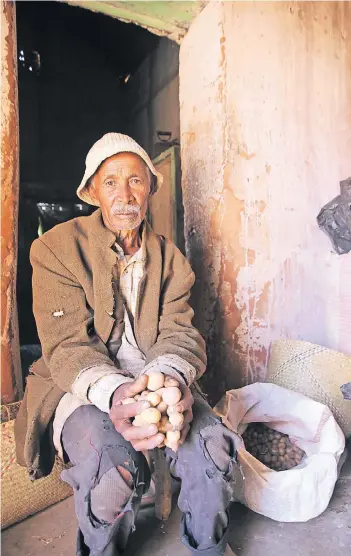  ?? FOTO: HEDEMANN ?? Bauer Ravaivoson sitzt in seiner Hütte und zeigt seine letzten Kartoffelv­orräte. Vor acht Jahren verlor er sein Land an einen französisc­hen Pharma-Konzern. Heute muss er die Äcker pachten und kommt kaum über die Runden.