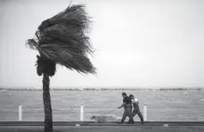  ?? Associated Press ?? n Foster Adams, left, walks his dog, Gus, with his friend Bradley Strayer on Friday along the seawall during Hurricane Harvey in Corpus Christi, Texas.