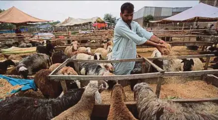  ?? (Foto EPA) ?? Lebih 40,000 pengendali, juruteknik dan penyelia akan bekerja 24 jam bagi memenuhi permintaan jemaah untuk pelaksanaa­n ibadat korban.