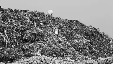  ??  ?? Mountains of plastic waste seen at Ghazipur landfill site, in New Delhi. ( Photo: Hindustan Times)