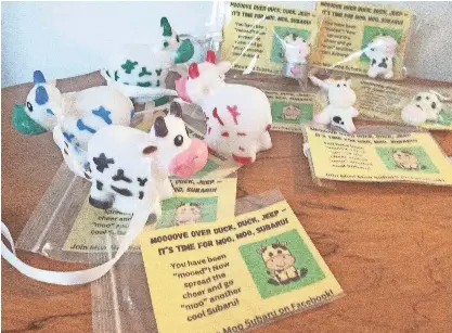 Do have a cow, growing herd of Subaru fans says - PressReader