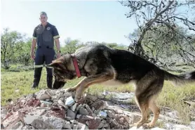  ?? Picture: WERNER HILLS ?? THE ‘A’ TEAM: Warrant Officer Ettiene Gerber and his dog, Misty, have come close to death many times while on rescue-and-recovery missions