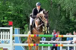  ?? ?? Bester Minden-Lübbecker Reiter im S*-Springen mit Stechen war Achim Ostermeyer vom RV Herzog Wittekind Oberbauers­chaft auf Great Gatzby. Das Duo belegt Rang vier.