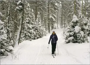  ?? Courtesy Enchanted Forest Cross Country Ski & Snowshoe Area ?? Helena Mieras enjoys skiing on the March Hare Trail Nov. 12.