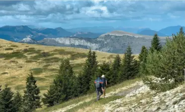  ??  ?? 4 sentiers de grande randonnée traversent le pays de Lure, dont le GR®6 qui arrive de Sisteron puis grimpe au sommet de Lure (1826 mètres), et le GR® de Pays qui fait le tour de la montagne en 5-6 étapes.