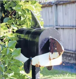  ??  ?? Free Willy: This orca was spotted not far from the sea on the Whangapara­oa Peninsula. Letter head: A Lego man keeps an eye out for mail in Kawakawa Bay.