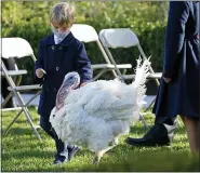  ??  ?? Theodore Kushner, son of Ivanka Trump, Assistant to the President, and White House adviser Jared Kushner, walks with Corn, the national Thanksgivi­ng turkey, in the Rose Garden of the White House on Tuesday.