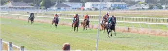  ??  ?? Levin Racing Club regularly gets more than 100 entries to its jump-out trials, held at the Levin racecourse every three weeks.