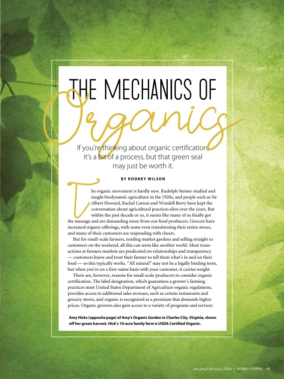  ??  ?? Amy Hicks (opposite page) of Amy's Organic Garden in Charles City, Virginia, shows off her green harvest. Hick’s 10-acre family farm is USDA Certified Organic.