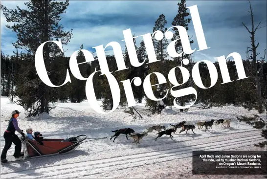  ?? PHOTOS COURTESY OF DINO VOURNAS ?? April Reda and Julien Scdoris are along for the ride, led by musher Rachael Scdoris, on Oregon’s Mount Bachelor.