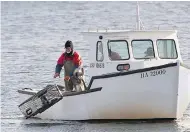  ?? ANDREW VAUGHAN / THE CANADIAN PRESS FILES ?? A fisherman returns a lobster trap in Halifax Harbour, a job that sees its share of deaths due to drownings.