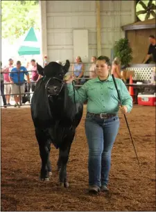  ?? SUBMITTED ?? Morgan DiCesare is shown with her steer named T-Bone.