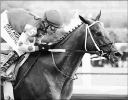  ?? COADY PHOTOGRAPH­Y ?? Midnight Bisou is being pointed to the Aug. 1 Personal Ensign.