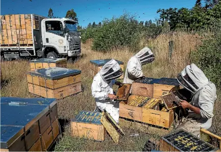  ?? ALDEN WILLIAMS/ STUFF ?? Beekeepers have agreed to work together with MPI to help grow the honey industry.