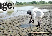  ??  ?? Polonnaruw­a: Two weeks ago farmers were seen struggling with the drought; today some of the drought-stricken areas are facing threat of floods