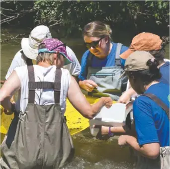  ?? TENNESSEE AQUARIUM PHOTO ?? Watershed educator Hayley Wise, third from right, works with teachers at a previous River Teachers class.