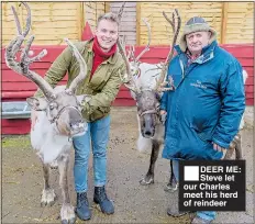  ??  ?? DEER ME: Steve let our Charles meet his herd of reindeer