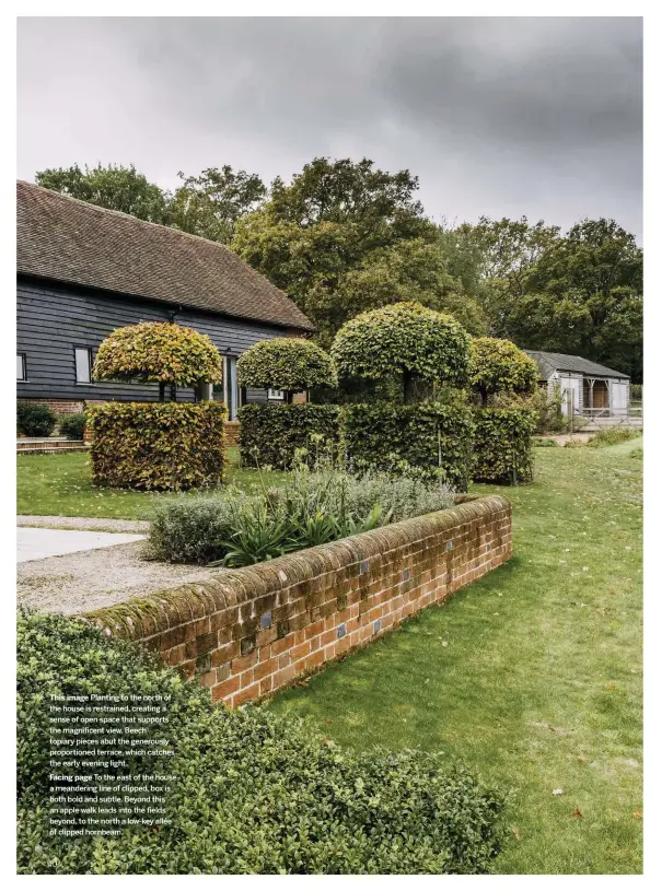  ??  ?? This image Planting to the north of the house is restrained, creating a sense of open space that supports the magnificen­t view. Beech topiary pieces abut the generously proportion­ed terrace, which catches the early evening light.
Facing page To the east of the house a meandering line of clipped, box is both bold and subtle. Beyond this an apple walk leads into the fields beyond, to the north a low-key allée of clipped hornbeam.