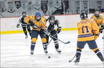  ?? JENNIFER VARDY LITTLE ?? Middleton’s Trinity Chesley and NKEC’S Riley Abbott battle for control of the puck.