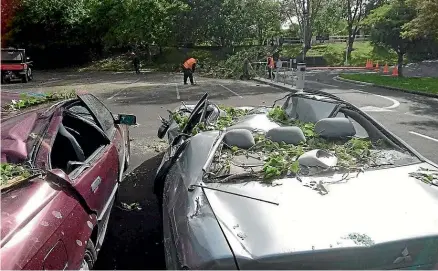  ??  ?? Two cars were severely damaged by a falling tree at Massey University on Sunday.