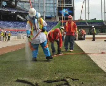  ??  ?? Miami Marlins mascot Billy the Marlin watered grass this week at the team’s new facility, the Sun Life stadium.