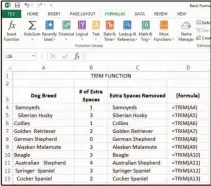  ??  ?? Use TRIM to remove extra or padded spaces from your data.