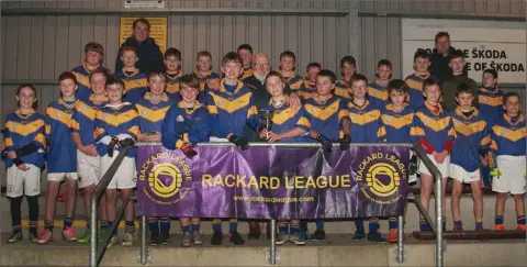  ??  ?? The triumphant Taghmon squad at the trophy presentati­on.