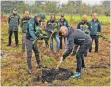  ?? FOTO: LANDRATSAM­T ?? Landrat Heiko Schmid pflanzt zusammen mit Forstamtsl­eiter Hubert Moosmayer und weiteren Mitarbeite­rinnen und Mitarbeite­rn Bäume im Rahmen der Aktion „Mein Baum fürs Land“.