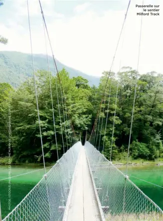  ??  ?? Passerelle sur le sentier Milford Track