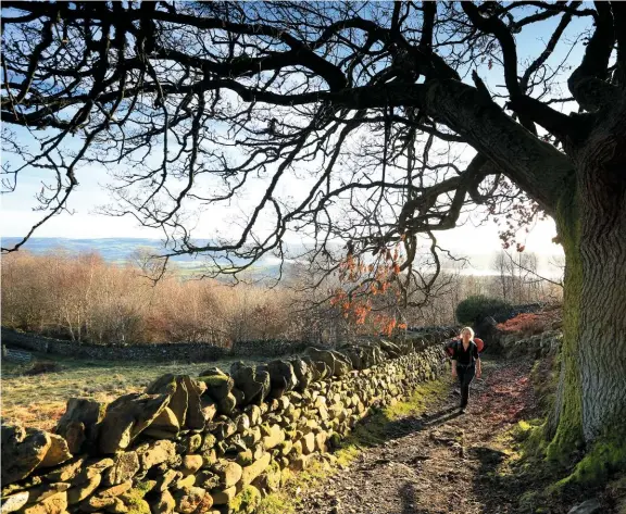  ??  ?? THE OLD WAY Climbing the ancient walled track from Rowen, in the footsteps of thousands of worshipper­s over hundreds of years.