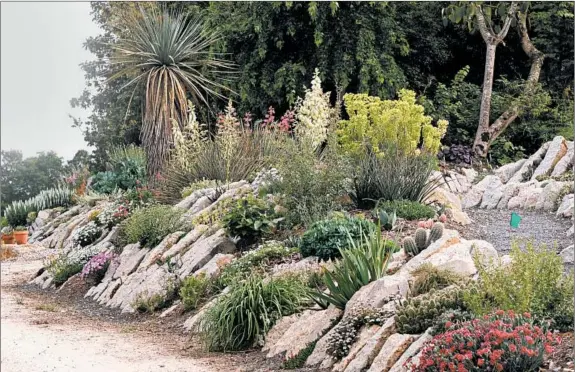  ?? TONY AVENT/PLANT DELIGHTS NURSERY PHOTOS ?? Tony Avent has created a 300-foot-long crevice garden at Juniper Level Botanic Garden in Raleigh, North Carolina.