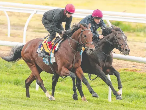  ?? Picture: PAT SCALA/RACING PHOTOS ?? Irish stayer Johannes Vermeer (left) works with Taj Mahal at Werribee racecourse.