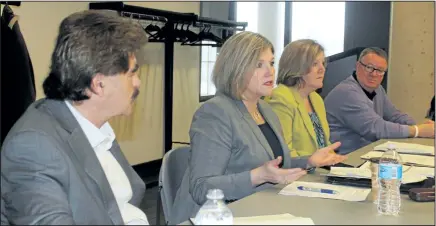  ?? ALLAN BENNER /QMI AGENCY NIAGARA ?? Provincial NDP leader Andrea Horwath speaks during a town hall meeting regarding health care, with Niagara Falls MPP Wayne Gates, left, Welland MPP Cindy Forster, and Niagara Centre MP Malcolm Allen, at right.