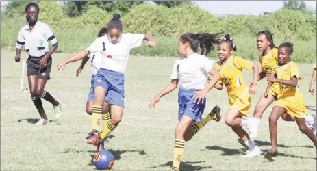  ??  ?? Hot Pursuit- St. Gabriel’s defenders (yellow) chasing two St. Pius (white) attackers at the Ministry of Education ground in the 3rd Annual Smalta Girls Pee Wee Football Championsh­ip