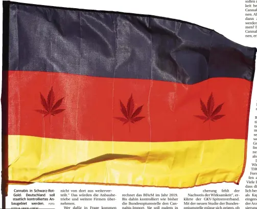  ?? FOTO:
FOTOLIA, GRAFIK: LORENZ ?? Cannabis in Schwarz-RotGold: Deutschlan­d soll staatlich kontrollie­rtes Anbaugebie­t werden.