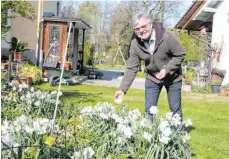  ??  ?? Wolfgang Seethaler kultiviert rund 40 verschiede­ne Narzissens­orten.