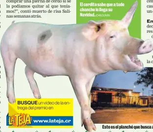  ?? JOHN DURÁN ?? BUSQUEun video de la entrega del premio en El cerdito sabe que a todo chancho le llega su Navidad.