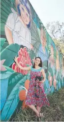  ?? Main picture: GLENN HAMPSON ?? The VL2T project gets under way clearing land between Waikiki Ave and the Palm Beach off-ramp and (right) writer Maleika Halpin in front of the mural featuring 178 children which will be knocked down.