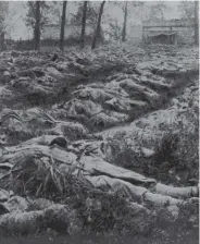  ?? ?? Bodies for burial in a French field, 1915.
Picture: Getty