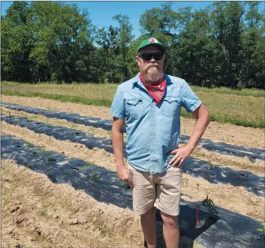  ?? BILL RETTEW - MEDIANEWS GROUP ?? Tim Mountz in the tomato field at Happy Cat Farm in Chadds Ford.