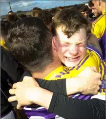  ??  ?? Faythe Harriers pair Daniel Browne and Josh Walsh (facing camera) embrace after their victory in Saturday’s epic Wexford People Minor hurling Premier championsh­ip final in New Ross.