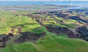  ?? ?? The 188-ha farm block for sale at 9528 Paeroa Kopu Rd, Thames, has been identified by the district council for future rezoning to medium density housing.